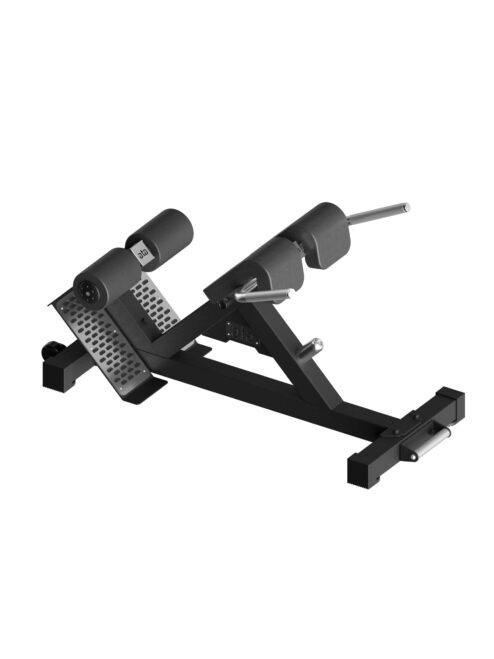 ata Pro Elite Back Extension - Bilde 3